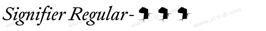 Signifier Regular字体转换 Signifier Regular字体转换